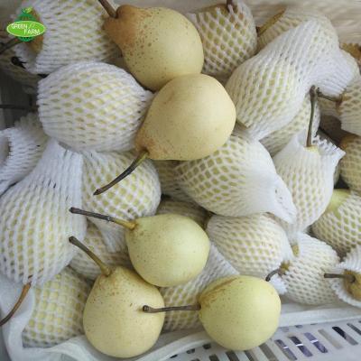 China China fresh seasonal fruit asian ya pear for sale