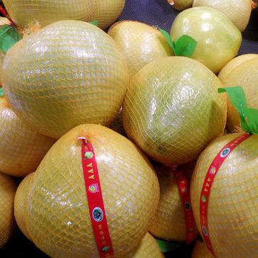 China Fresh grapefruit for sale for sale