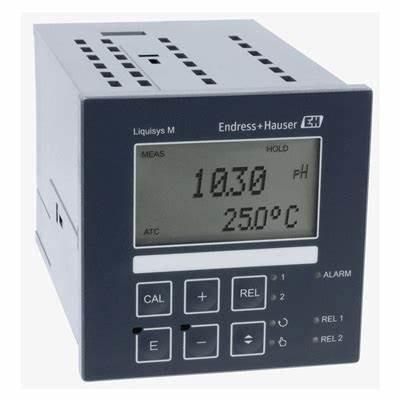 China Liquisys COM223-DX0005 Endress Hauser Instruments Dissolved Oxygen Transmitter for sale