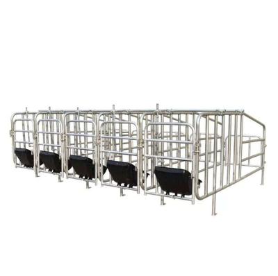 China Breeds new pig farm gestation pig gestation crate seedling stand direct sales for sale