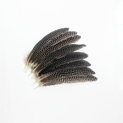 China Decorations Outstanding Quality Long Nature Pheasant 15-22 Cm Pearl Chicken Nest Feather for sale