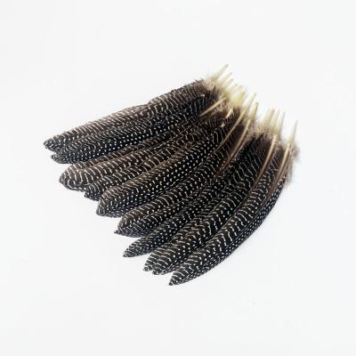 China Decorations Made In China Finely Processed Trim Pheasant 15-22 Cm Pearl Chicken Nest Feather for sale