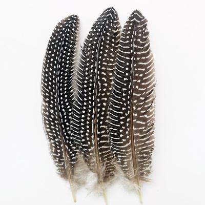 China Decorations Wholesale Cheap Price Natural Rooster 15-22 Cm Pearl Chicken Nest Feather For Sale for sale