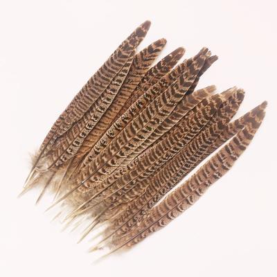 China Decorations Good Quality Multifunctional Pheasant Trim 20-25cm Mother Mountain Chicken Tail Feather for sale