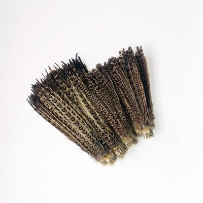 China Decorations Online Wholesale Rooster Tail Duster 20-25cm Mother Mountain Chicken Tail Feather For Sale for sale