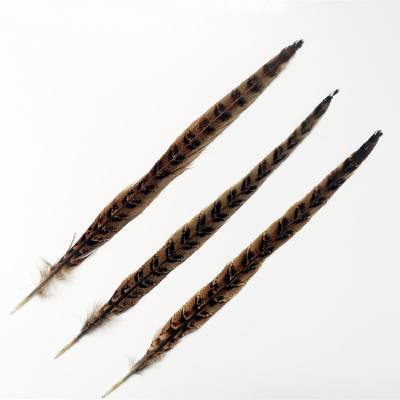 China Decorations Manufacturer Supply High Quality Natural Pheasant Roosters Saddle 20-25cm Mother Mountain Chicken Tail Feather for sale