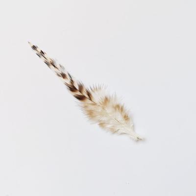 China Decorations Wholesale Cheap Price Multifunctional Pearl Trim 8-15 Cm Reed Flower Chicken Tip Feather for sale