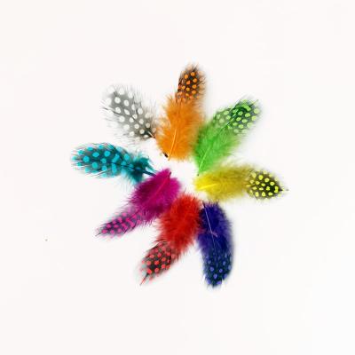 China Decorations China High Quality Pearl Chicken Pheasant 4-8 Cm Multicolor Guinea Fowl Feather for sale