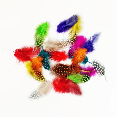 China Decorations Low Cost Finely Processed Dyed Chicken Pheasant 4-8 Cm Multicolor Guinea Fowl Feather for sale