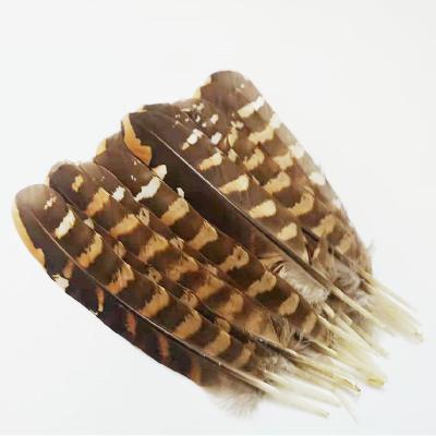 China Decorations Factory Price Colored Rooster Tail Dusters 10-16 Cm Chicken Nest Feather For Sale for sale