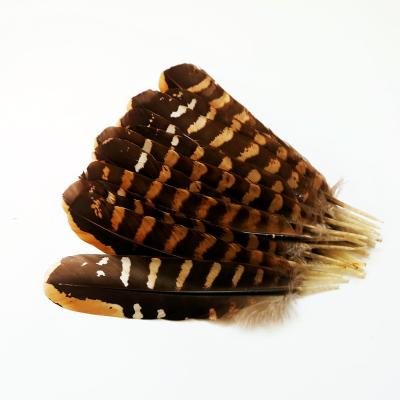 China Decorations Factory Prices High Class Multi Color Natural 10-16 Cm Chicken Nest Feather for sale