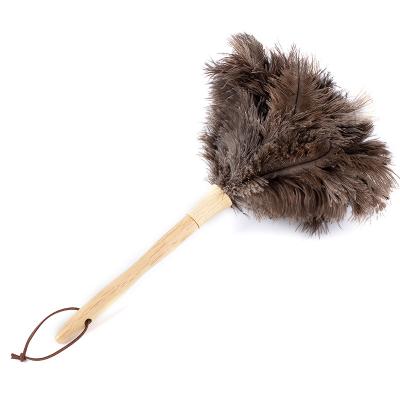 China Decorations Professional Manufacturer Anti-static Washable TND-008 Ostrich Feathers Duster For Sale for sale