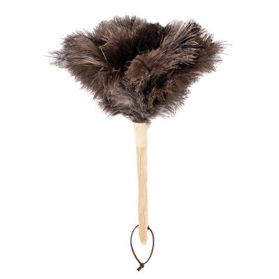 China Decorations Wholesale High Standard Eco-Friendly Artificial TND-008 Ostrich Feathers Duster for sale