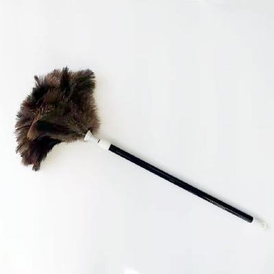 China Decorations Manufacturer Supply Cleaning Brush TND-036 Ostrich Feathers Duster With Wooden Handle for sale