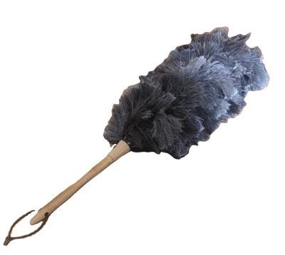 China Decorations Wholesale Sale Cheap Price Professional TND-038 Ostrich Feathers Duster For Home for sale