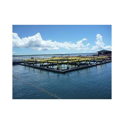 China Open Deep Sea Salmon Fish Farm Fish Cage for sale