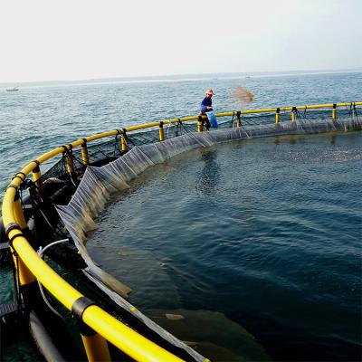 China Fish Aquaculture Fish Farming Plastic Floating Cage For Salmon With Good Quality for sale