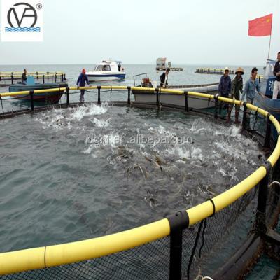 China The 2021 New Design High Quality Tilapia Cage /Aquaculture Fish Farming Cages for sale