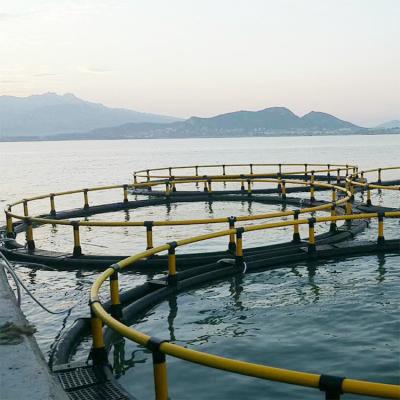 China Circular Floating Fish Sea Cage For Cultivating Fish Diameter 20m for sale