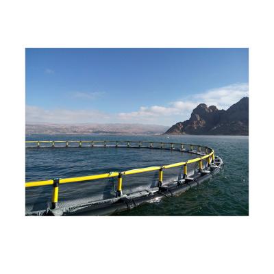 China 2021 Hot Sale Aquaculture Type HDPE Deep Sea Withstand Storm Cage Sea Fish Farming for sale