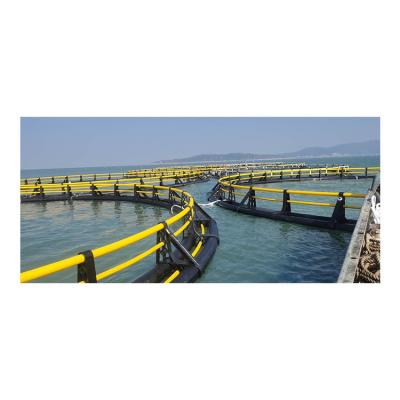 China 2021 Hot Sale Aquaculture Type HDPE Deep Sea Withstand Storm Cage Sea Fish Farming At Diameter 30m And 25m for sale