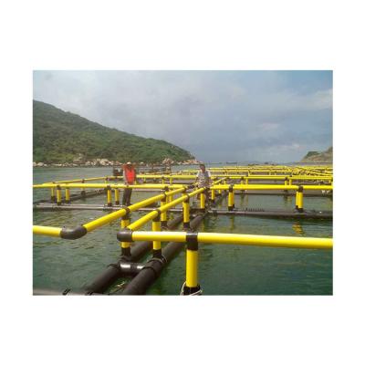 China 2021 Hot Selling Fish Aquaculture Offshore Equipment Fishing For Fish Farming for sale