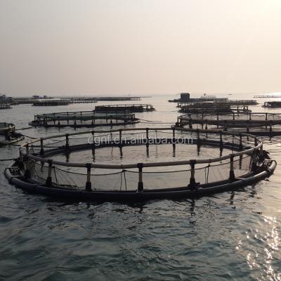 China Fish Aquaculture Traps Floating Fish Cage Leisure Cage Fish Farming Equipment for sale