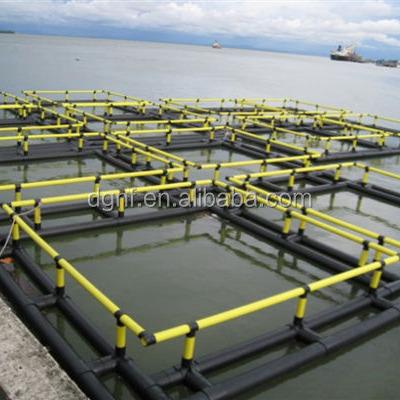 China HDPE Aquaculture Leisure Cage Floating Fish Traps Plastic Fish Cage Fish Farming Equipment for sale