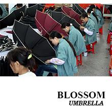 Verified China supplier - Xiamen Bosheng Umbrella Co., Ltd.