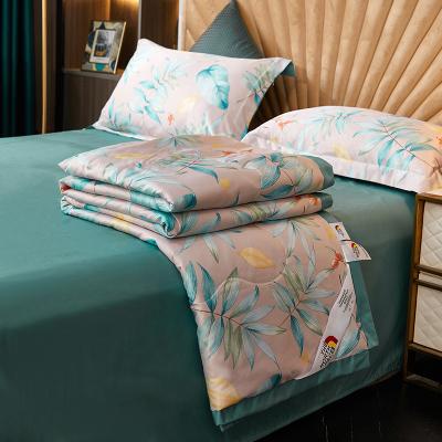 China Modern Anti-bacteria Luxury Washed Silk Comfortable Bedding Sets For Summer Bedroom for sale