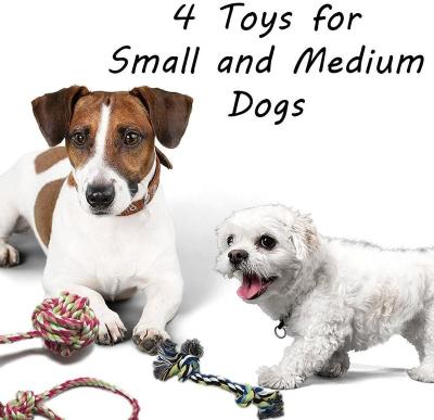 China Stocked Dog leash toy, suitable for small and medium sized dogs (4 piece set) for sale