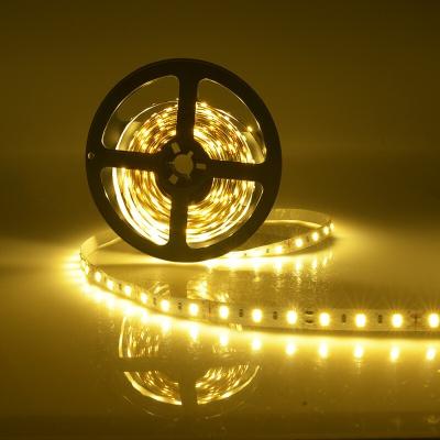 China Decoration Fast Delivery Customized Waterproof LED Strip Light Outdoor for sale