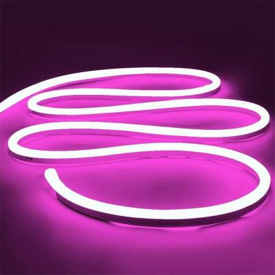 China Decoration 24V Colorful Waterproof Silicone Material LED Neon Flex Strip 8MM Width for sale