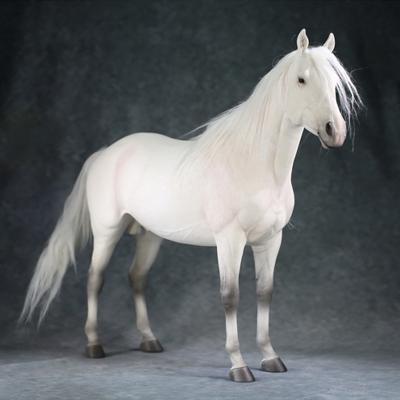 China China Mr.Z 1/6 High Quality Home Decoration Thoroughbreds Horse Action Figure for sale