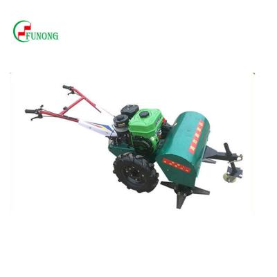 China Professional Agriculture Garden Electric Motor Gasoline Lawn Mower for sale