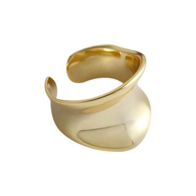 China Hot Selling Fashion FASHIONABLE Sterling Silver Ring Irregular Wide Arise Women's Ring Open Ring for sale