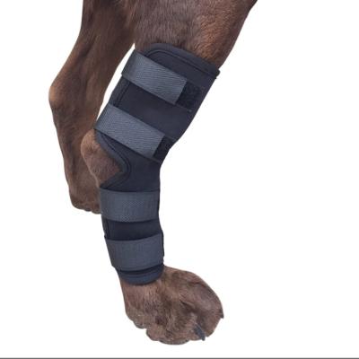 중국 Adjustable Elasticity Breathable Neoprene Dog Leg Wrap Dog Knee Support Brace For Joint Back Canine Leg Wrap Protector 판매용