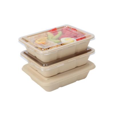 China Sustainable Disposable Bamboo Pulp Material Biodegradable Lunch Bento Paper Eco-Friendly Box for sale