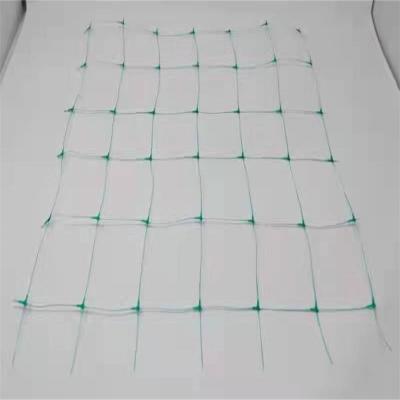 China Agricultural Mesh Factory Hot Sale Plants Climb The Grid Bean Cucumber Climbing Net Garden Flower Support Plant Trellis for sale