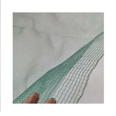 China Hail Proof Plastic Net berrd netting / bird netting / high quality insect Mesh Protection Netting Good Quality aquatics for sale