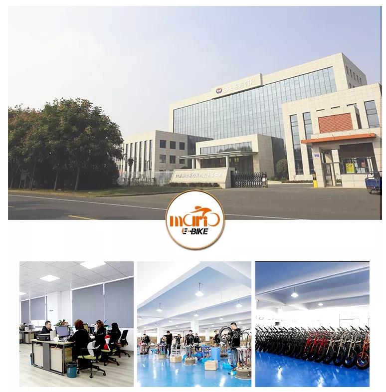 Verified China supplier - Changzhou Mario International Trade Co., Ltd.