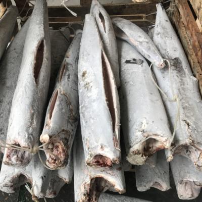 China Favorable NATURE export price seafood sri lanka market 100%N.W frozen wahoo fish for sale