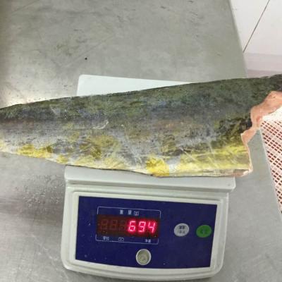 China NATURE Good Prices Frozen Fish Bandaged HGT Mahi Mahi Fillet for sale