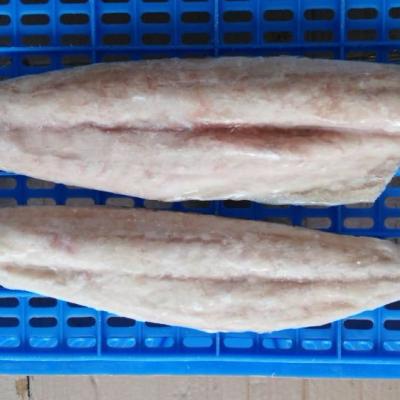 China Wholesale NATURE mahi mahi fishing price for sale