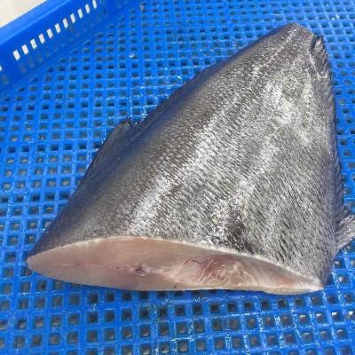 China NATURE brama brama fish frozen hgt for sale