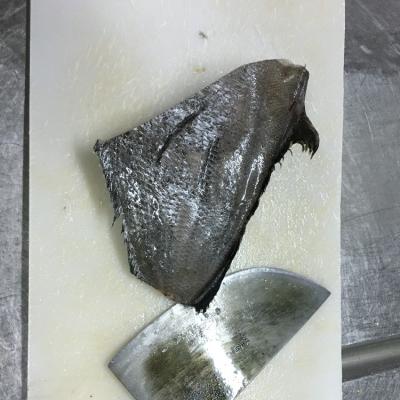 China NATURE brama fish fillet frozen brama hgt for sale