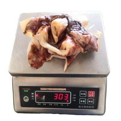 China 100% N.W. Clean Thai Nutritious Indian Squid Neck Market Frozen Giant Squid for sale