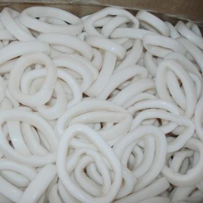 China Nutritious Frozen Calamari Rings Giant Squid Ring for sale