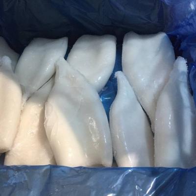 China Frozen NATURE squid dosidicus gigas tube for sale