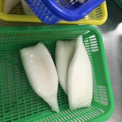 China NATURE Hot Selling Giant Squid Frozen Tube for sale